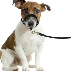 FLAMINGO - Harnais de dressage de tête museliere- noir xs - pour chien