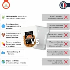 FRANCE CROQUETTES - Bouchées au saumon 500g - france croquettes