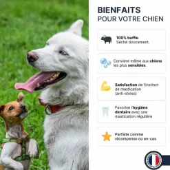 FRANCE CROQUETTES - Bâtonnets de buffle (chiot et senior) - 150gr - france croquettes