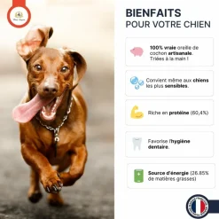 FRANCE CROQUETTES - Oreille de porc 500g - france croquettes