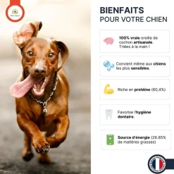 FRANCE CROQUETTES - Oreille de porc 5kg - france croquettes