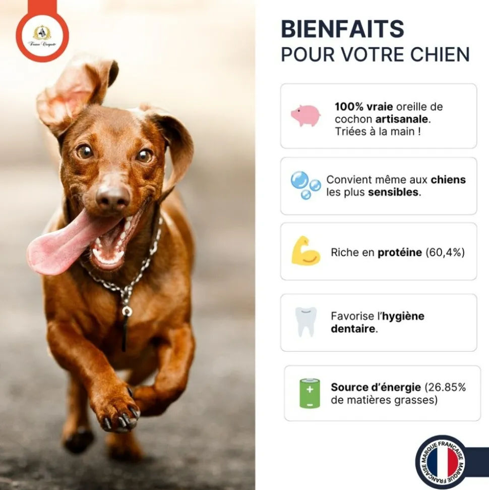 FRANCE CROQUETTES - Oreille de porc 5kg - france croquettes