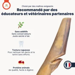 FRANCE CROQUETTES - Peau de chameau 400gr (mastication longue/hypoallergenique) friandise pour chien - france croquettes