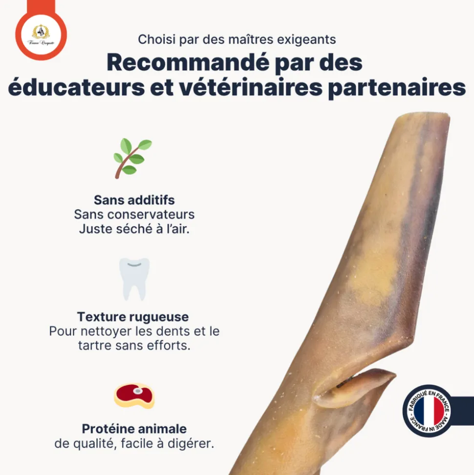 FRANCE CROQUETTES - Peau de chameau 400gr (mastication longue/hypoallergenique) friandise pour chien - france croquettes