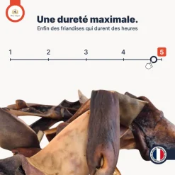 FRANCE CROQUETTES - Peau de chameau 400gr (mastication longue/hypoallergenique) friandise pour chien - france croquettes