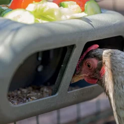 GREENLIFE BY BIOM PARIS - Mangeoire poules en plastique recyclé