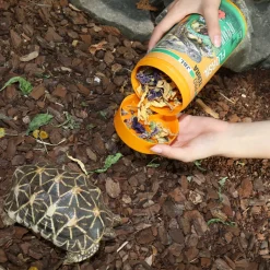 JBL - Florsil, alimentation pour tortues terrestres : 250ml