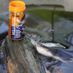 JBL - Molluscus, alimentation pour tortues d’eau : 250ml