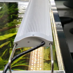 JBL - Rampe d'éclairage Led pour aquarium, Solar Effect 21W - 1149 à 1200mm