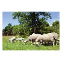 KERBL - Kerbl filet pour moutons ovinet 90 cm 27251