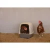 KERBL - Pondoir pour poules - kerbl - 52 x 39 x 39 cm
