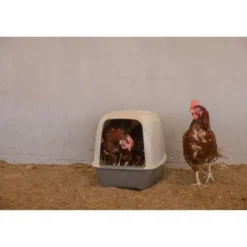 KERBL - Pondoir pour poules - kerbl - 52 x 39 x 39 cm