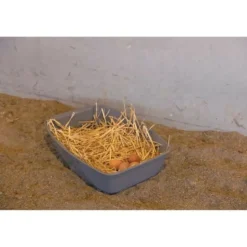 KERBL - Pondoir pour poules - kerbl - 52 x 39 x 39 cm