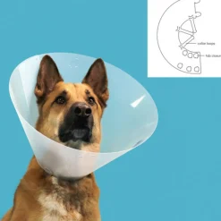 KVP - Collier de protection isabelino pour chiens quick fit transparent (33-40 cm)