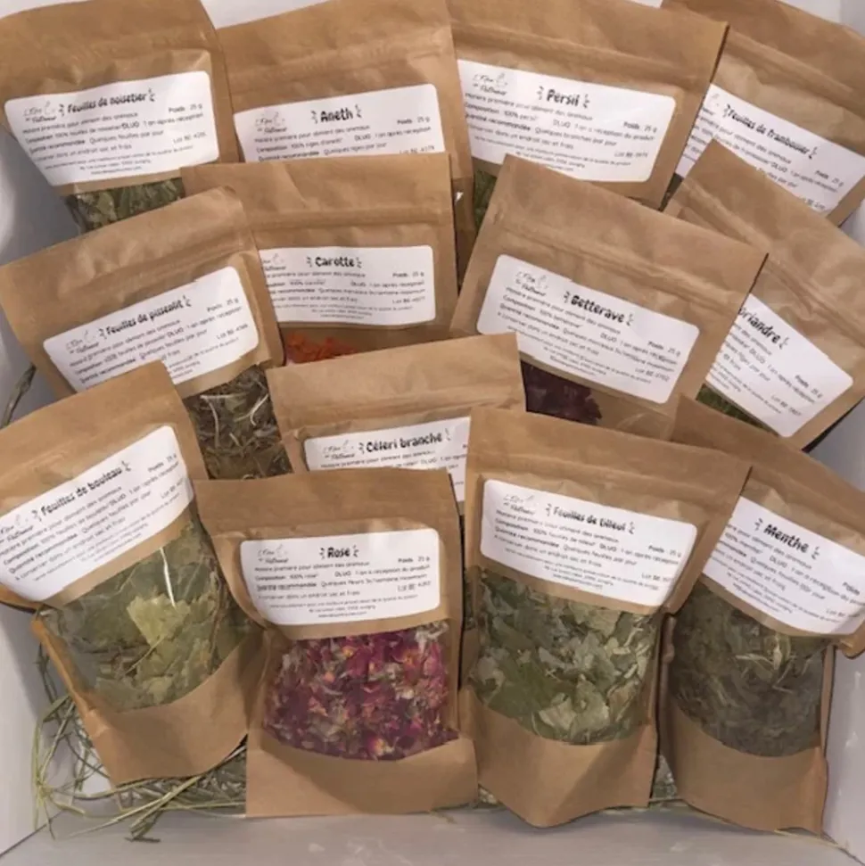 L'EDEN DES PATTOUNES - Box découverte xxl