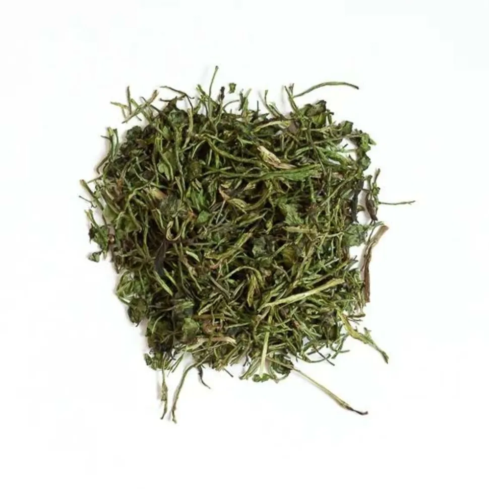 L'EDEN DES PATTOUNES - Coriandre - 150 g