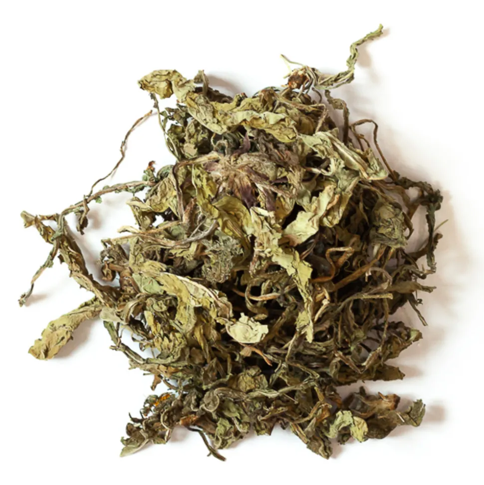 L'EDEN DES PATTOUNES - Feuilles de pissenlit - 50 g