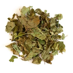 L'EDEN DES PATTOUNES - Feuilles de noisetier - 50 g