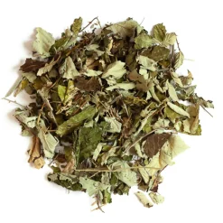 L'EDEN DES PATTOUNES - Feuilles de mûrier - 50 g