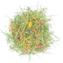 L'EDEN DES PATTOUNES - Foin aromatisé aux bleuets rouges pour lapins et rongeurs