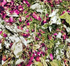 L'EDEN DES PATTOUNES - Mix du jour