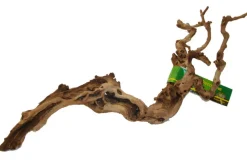 LUCKY REPTILE - Bois de vigne - grapevine - medium 40-70 cm - décoration pour terrarium destiné aux reptiles (lézards, serpents, tortues), amphi