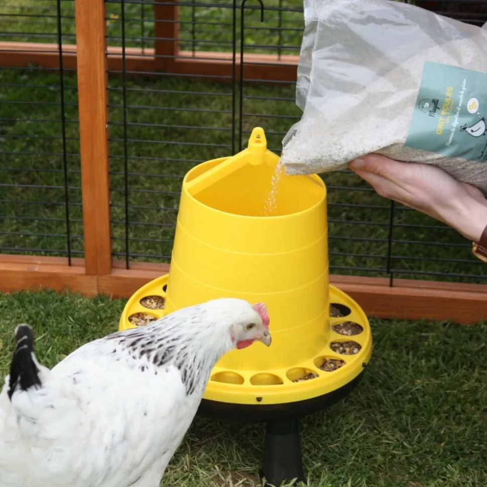 MAGALLI - Magalli grit poules - digestion et coquilles solides 5 kg