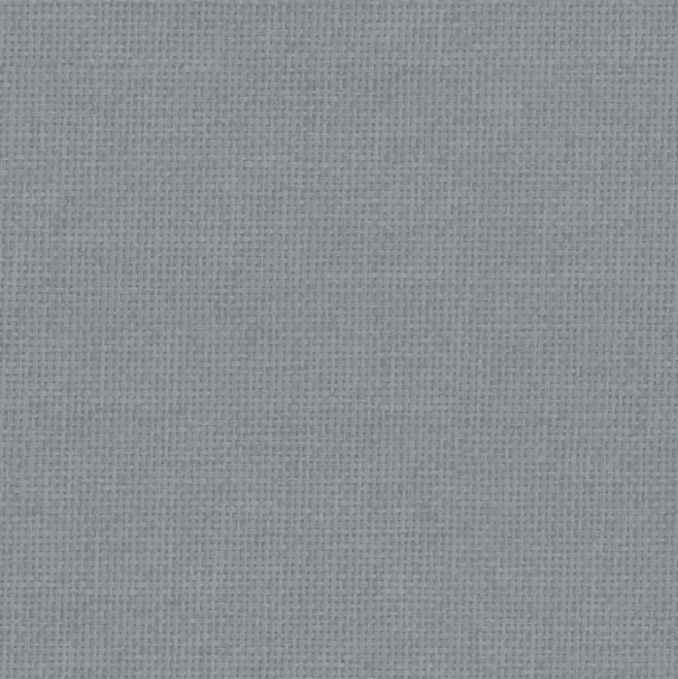 MAISON EXCLUSIVE - Lit pour chien gris clair 70x45x30 cm tissu