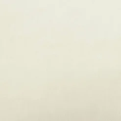 MAISON EXCLUSIVE - Lit pour chien crème 60x40x30 cm velours