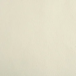 MAISON EXCLUSIVE - Lit pour chien crème 70x45x30 cm similicuir