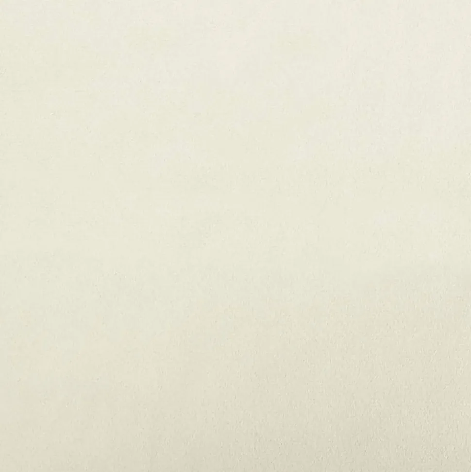 MAISON EXCLUSIVE - Lit pour chien crème 70x45x26,5 cm velours