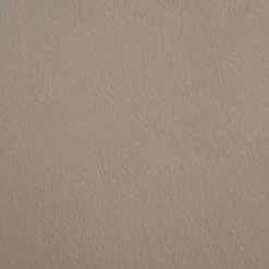 MAISON EXCLUSIVE - Lit pour chien cappuccino 80x45x30 cm similicuir