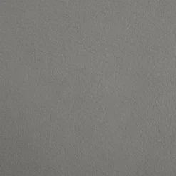 MAISON EXCLUSIVE - Lit pour chien gris 70x45x30 cm similicuir