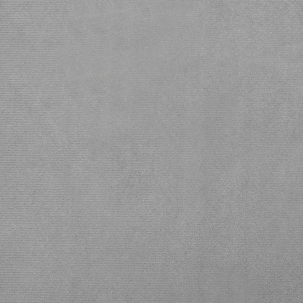 MAISON EXCLUSIVE - Lit pour chien gris clair 66x40x45 cm velours