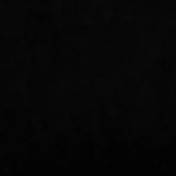 MAISON EXCLUSIVE - Lit pour chien noir 60x40x30 cm velours