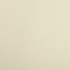 MAISON EXCLUSIVE - Lit pour chien crème 70x45x28 cm similicuir