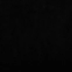 MAISON EXCLUSIVE - Lit pour chien noir 70x48x22 cm velours