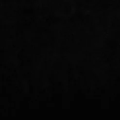 MAISON EXCLUSIVE - Lit pour chien noir 70x40x24 cm velours