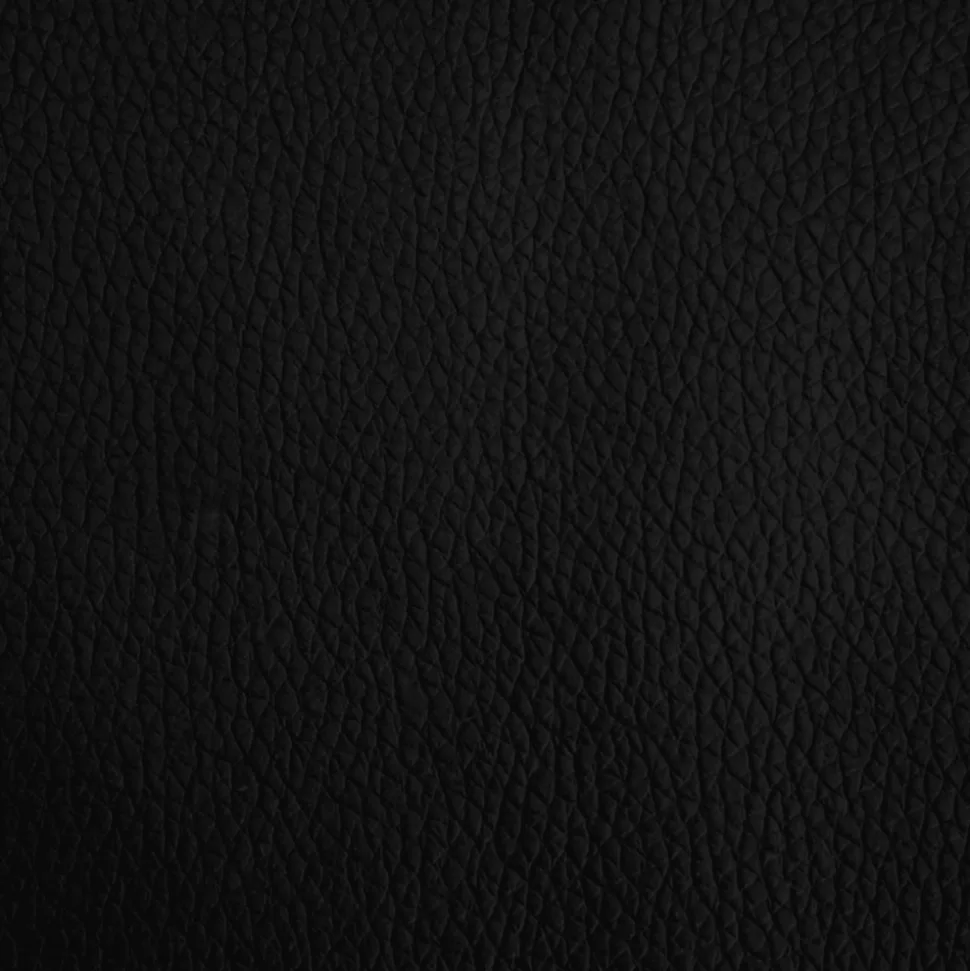 MAISON EXCLUSIVE - Lit pour chien noir 70x45x30 cm similicuir