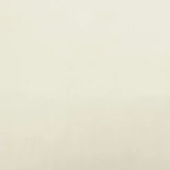 MAISON EXCLUSIVE - Lit pour chien crème 70x45x30 cm velours