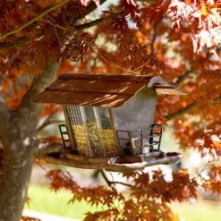 Mangeoire pour oiseaux sauvages jok 2, abri oiseaux, adaptée pour nourriture graines petites noisettes, boules de graisse, eau