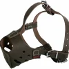 MARTIN SELLIER - Muselière pour chiens en cuir ultime pour amstaff & rottweile