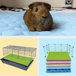 NEO SOLVO - Lot de 4 - tapis qui remplace la litière pour cochon d'inde et lapin - absorbant, imperméable, passe en machine 105 x 70 cm