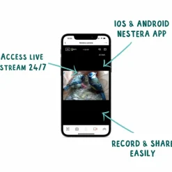 NESTERA - Nichoir avec caméra wifi