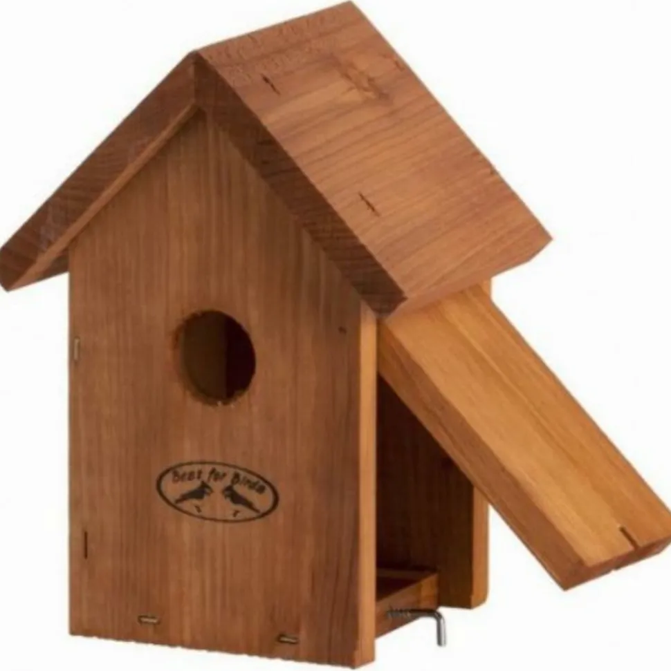 Nichoir à roitelet en douglas