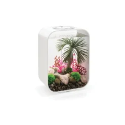 Oase aquarium décoratif 15l avec cadre blanc - life 15 mcr white