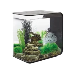 Oase aquarium décoratif 30l led avec cadre noir - flow 30 led black