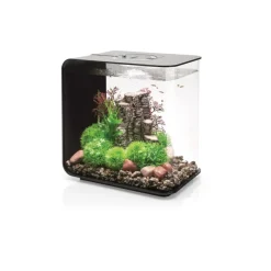 Oase aquarium décoratif 30l mcr avec cadre noir - flow30mcr black