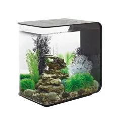 Oase aquarium décoratif 30l mcr avec cadre noir - flow30mcr black