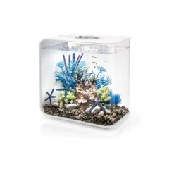 Oase aquarium décoratif 30l mcr avec cadre blanc - flow30mcr white